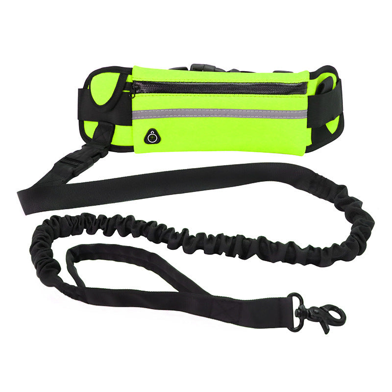 Hands-free dog leash for active pet owners