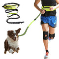 Hands-free dog leash and running belt in black
