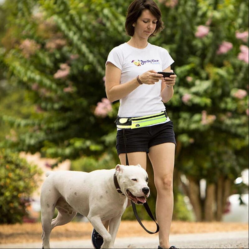 Dog walking belt with phone pocket