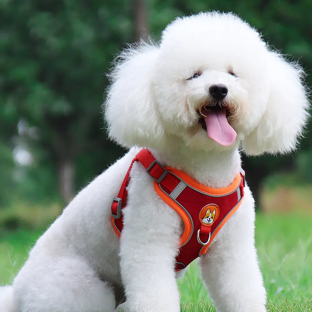 a252d96e3ba8fb23d80c39d8f8e3ef3d
