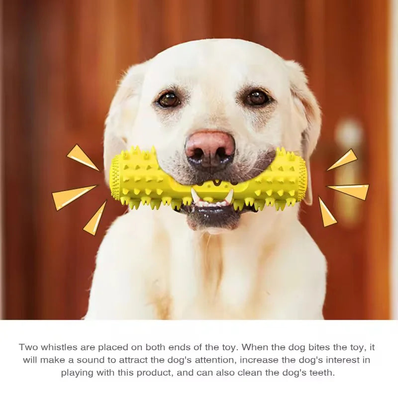 Squeaky Toothbrush Chew Stick
