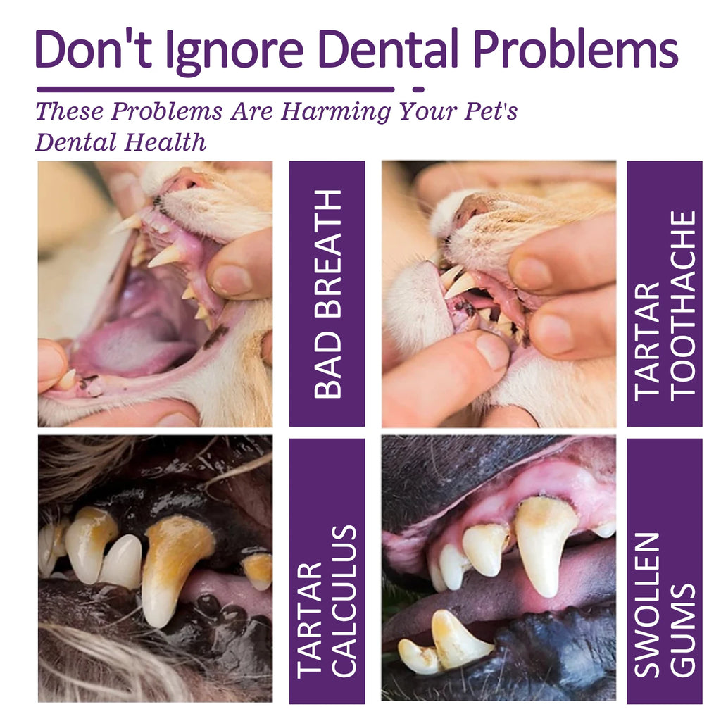 Daily Pet Toothpaste — 60 g