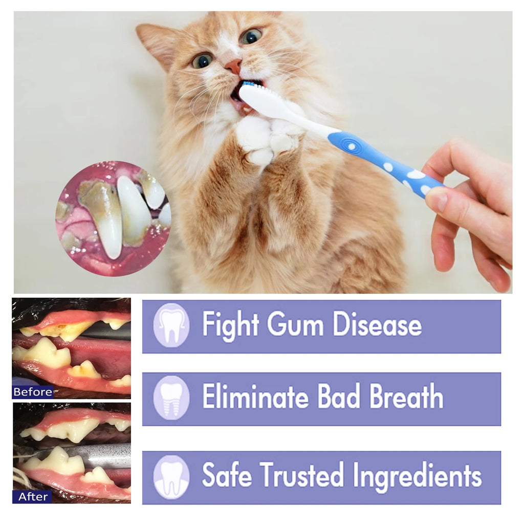 Daily Pet Toothpaste — 60 g