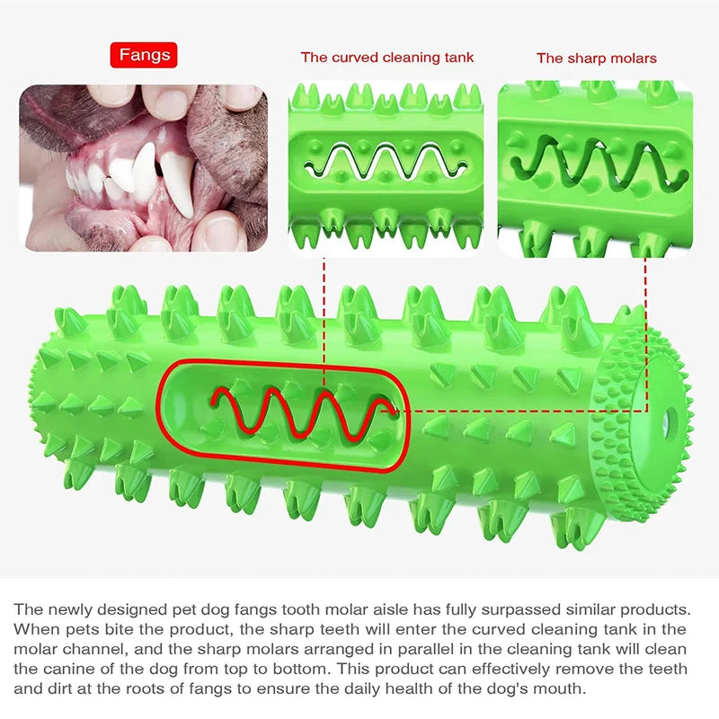 Squeaky Toothbrush Chew Stick