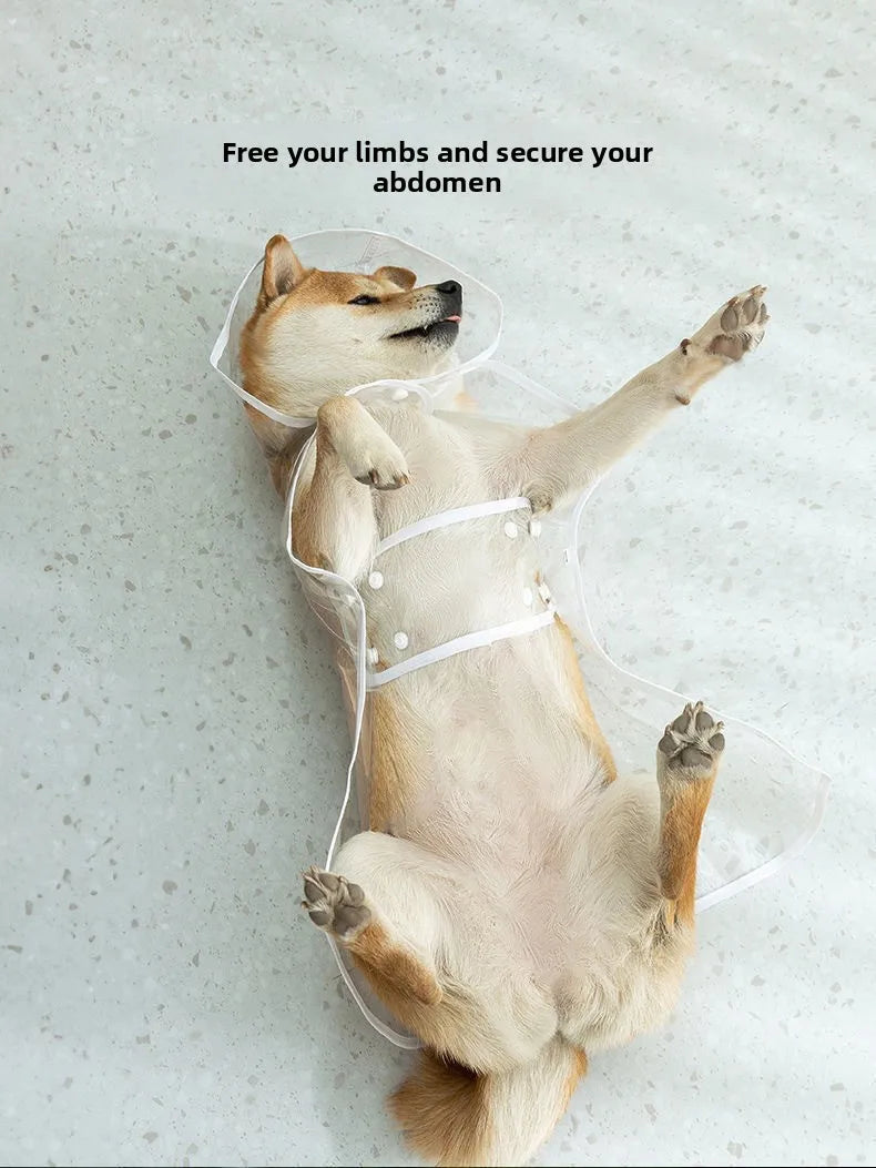 Clear Hooded Dog Raincoat