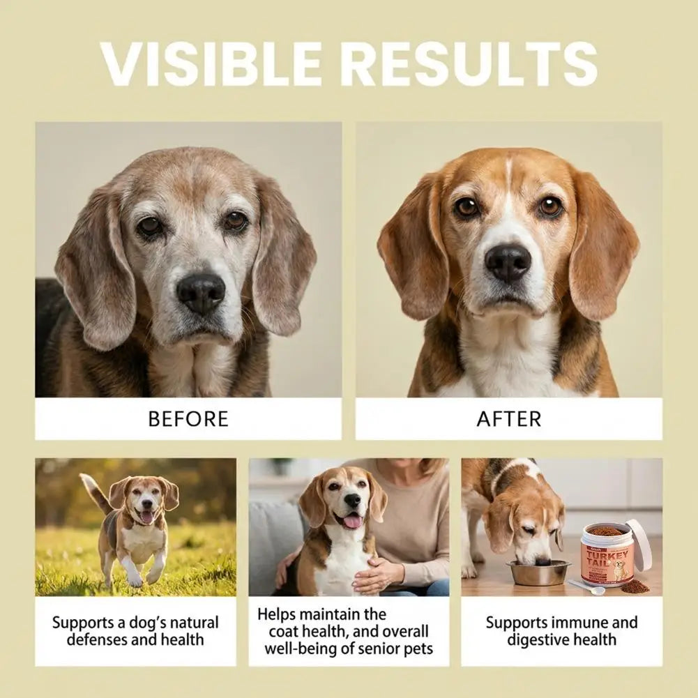 Daily Probiotic Powder for Dogs — 100 g