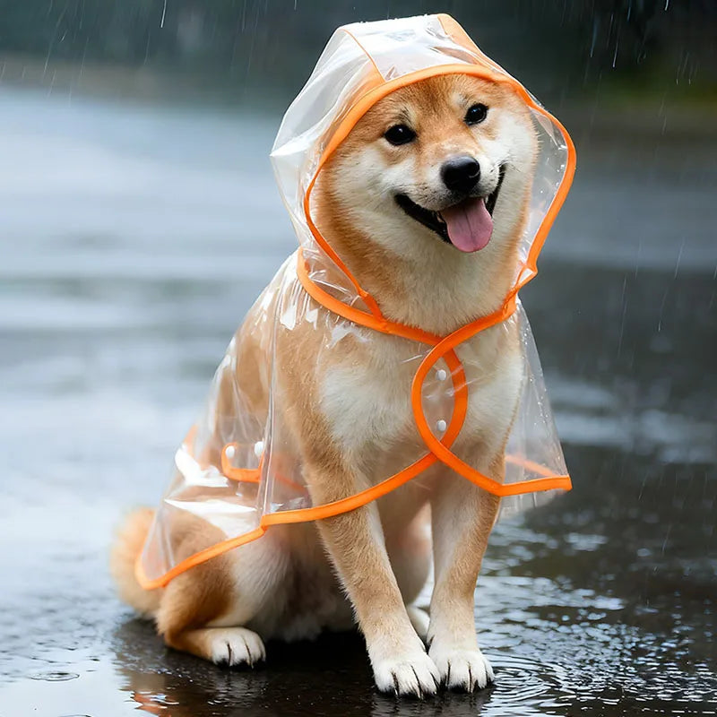Clear Dog Rain Poncho — S to XL