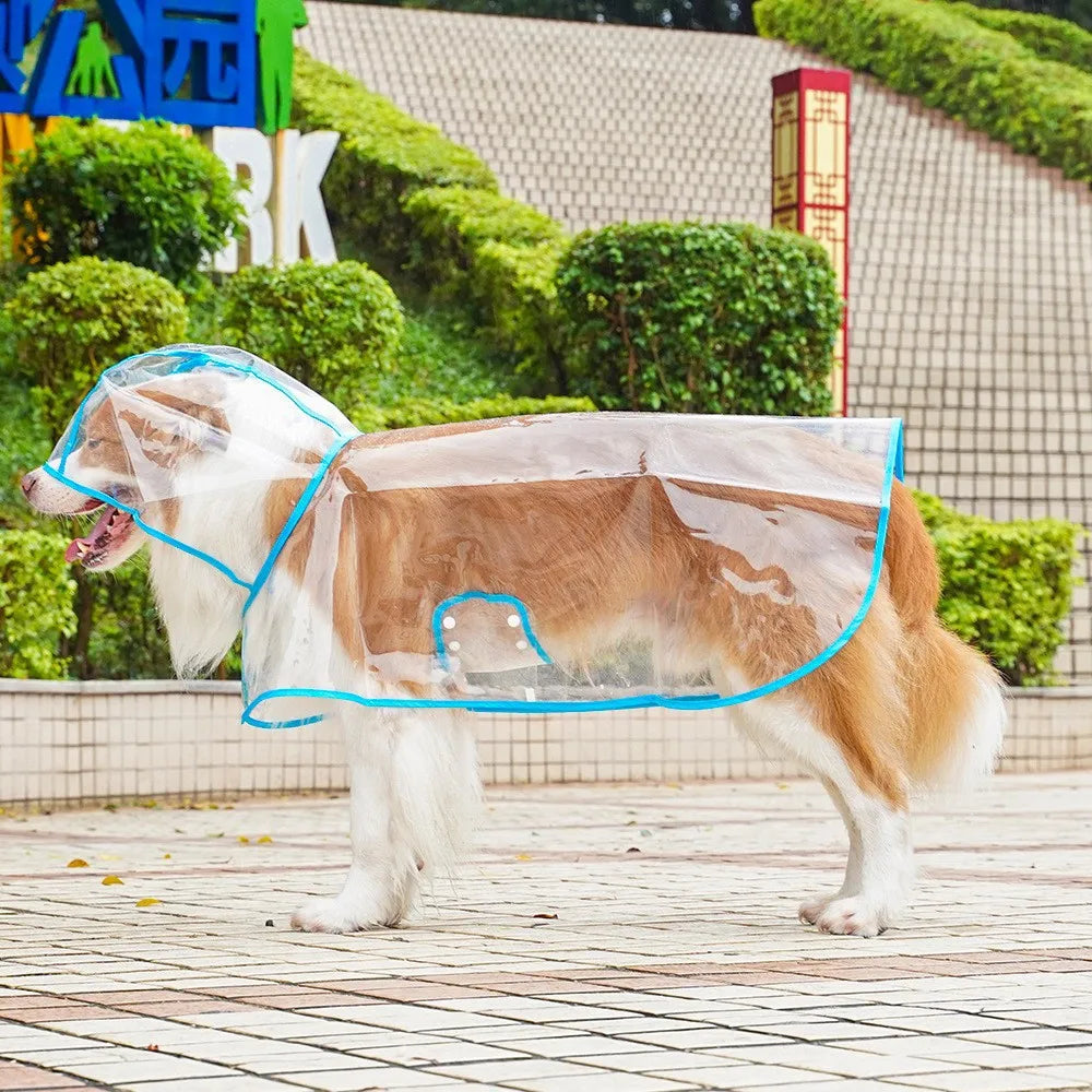 Clear Hooded Dog Raincoat