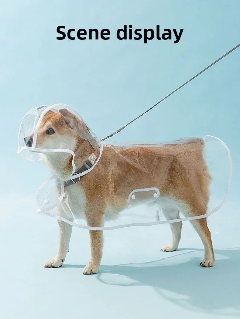 Clear Hooded Dog Raincoat