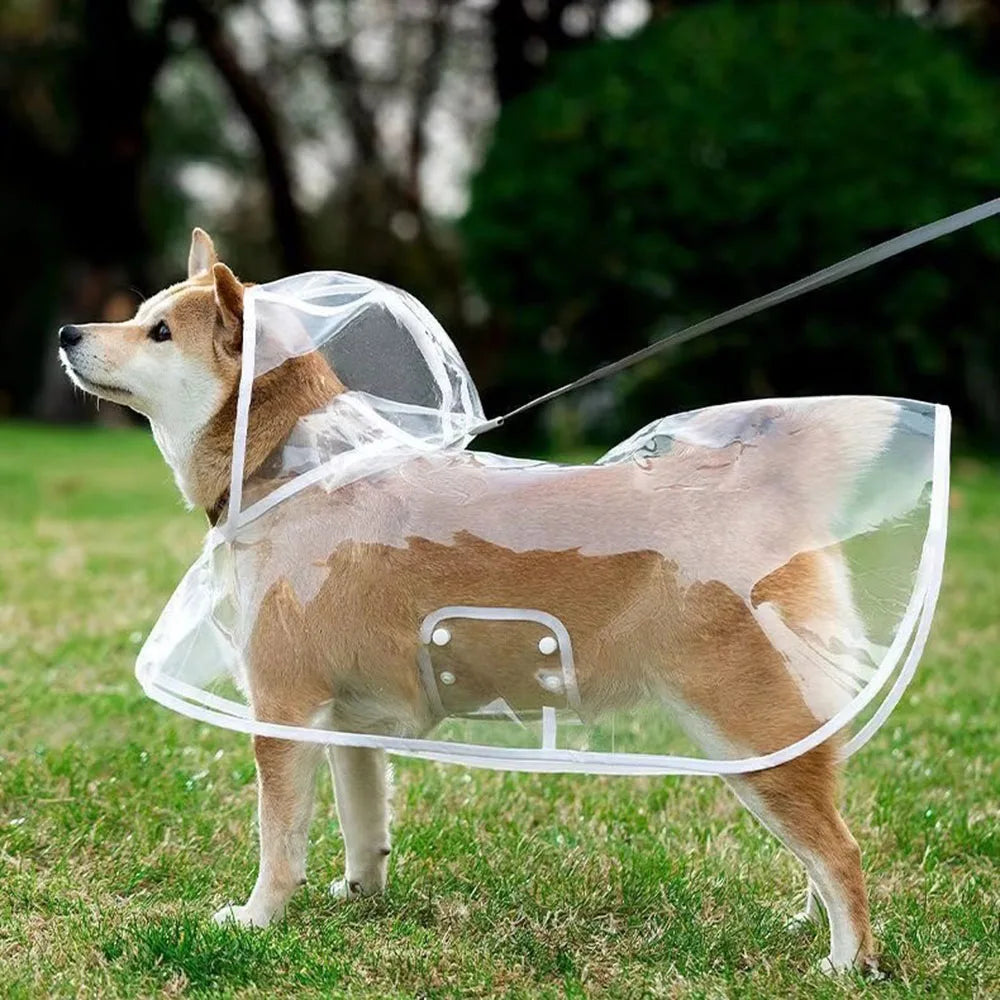 Clear Hooded Dog Raincoat