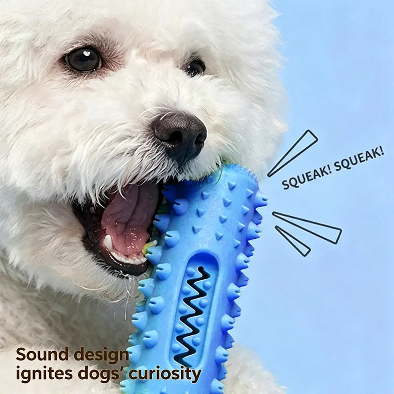 Squeaky Toothbrush Chew Stick