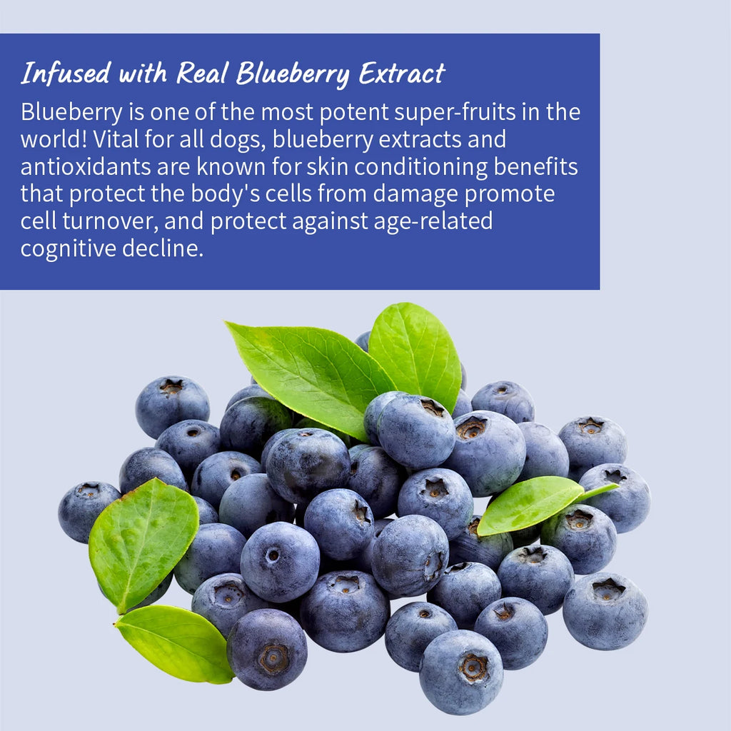 Brightening Blueberry Dog Shampoo
