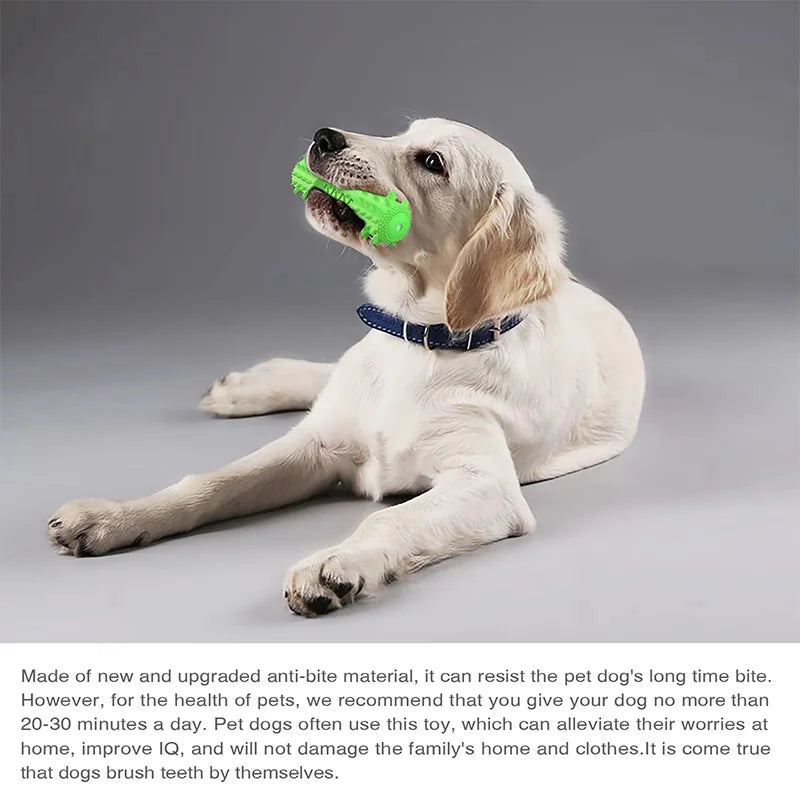 Squeaky Toothbrush Chew Stick