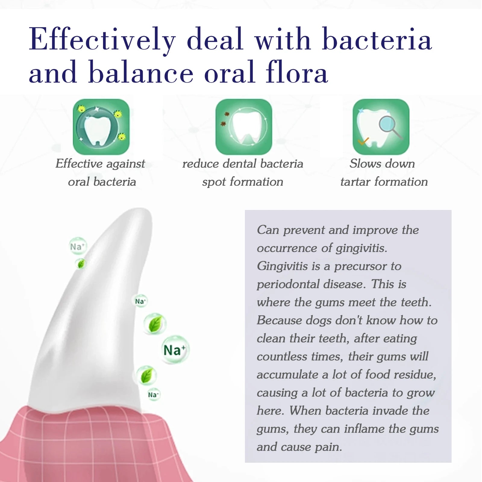Daily Pet Toothpaste — 60 g