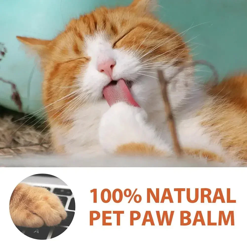 Beeswax Paw Balm — 30 g