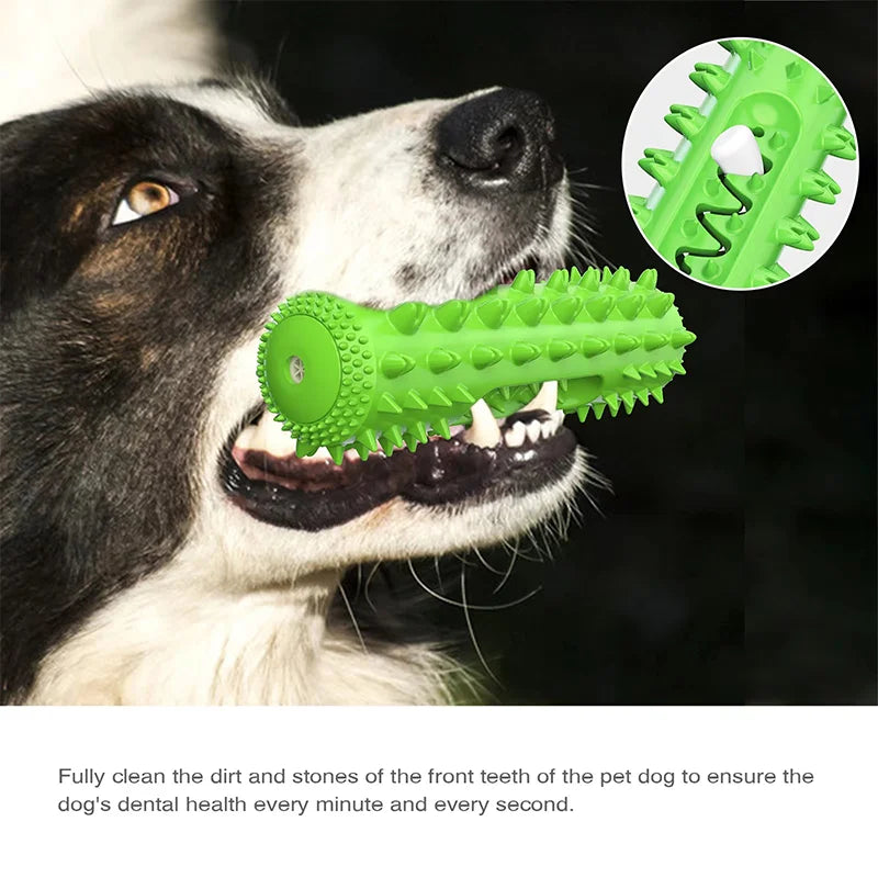 Squeaky Toothbrush Chew Stick