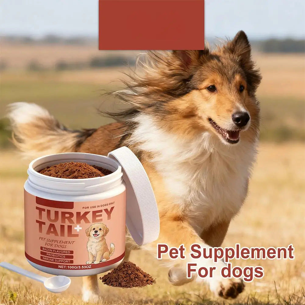 Daily Probiotic Powder for Dogs — 100 g