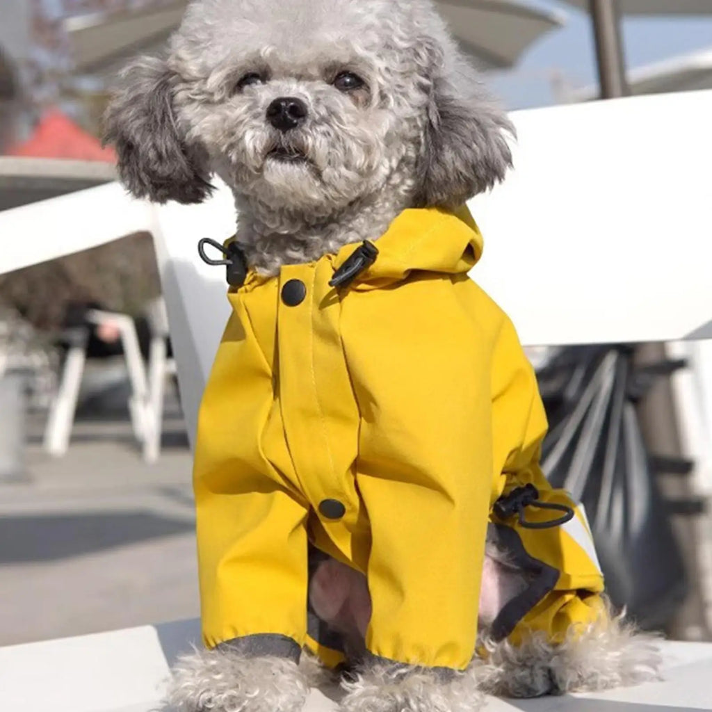 Hooded Dog Raincoat — High-Visibility Yellow