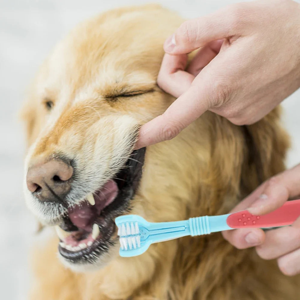 Triple-Head Pet Toothbrush
