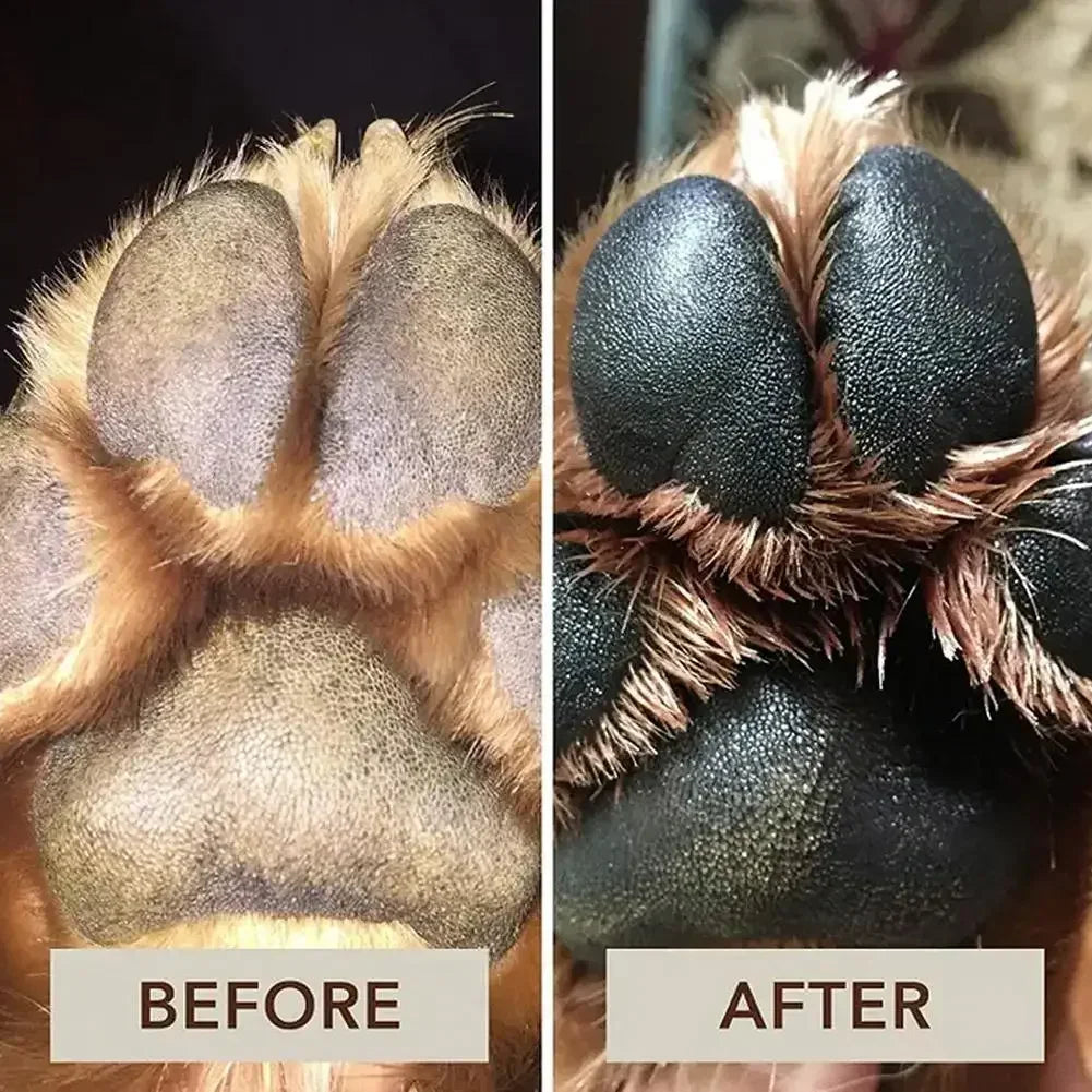 Beeswax Paw Balm — 30 g