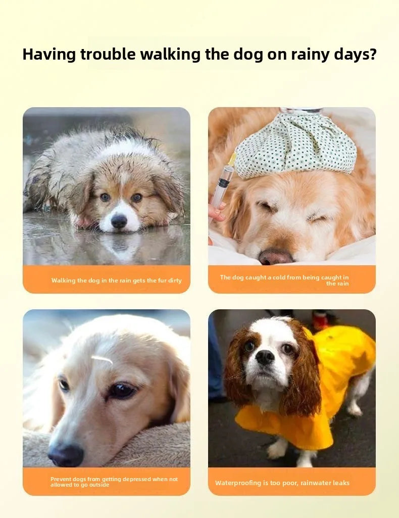Clear Hooded Dog Raincoat