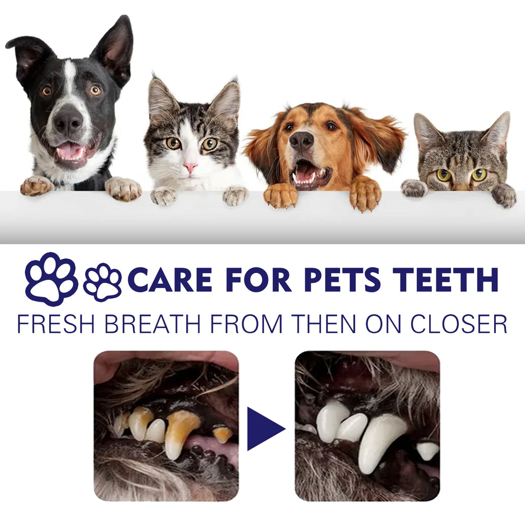 Daily Pet Toothpaste — 60 g