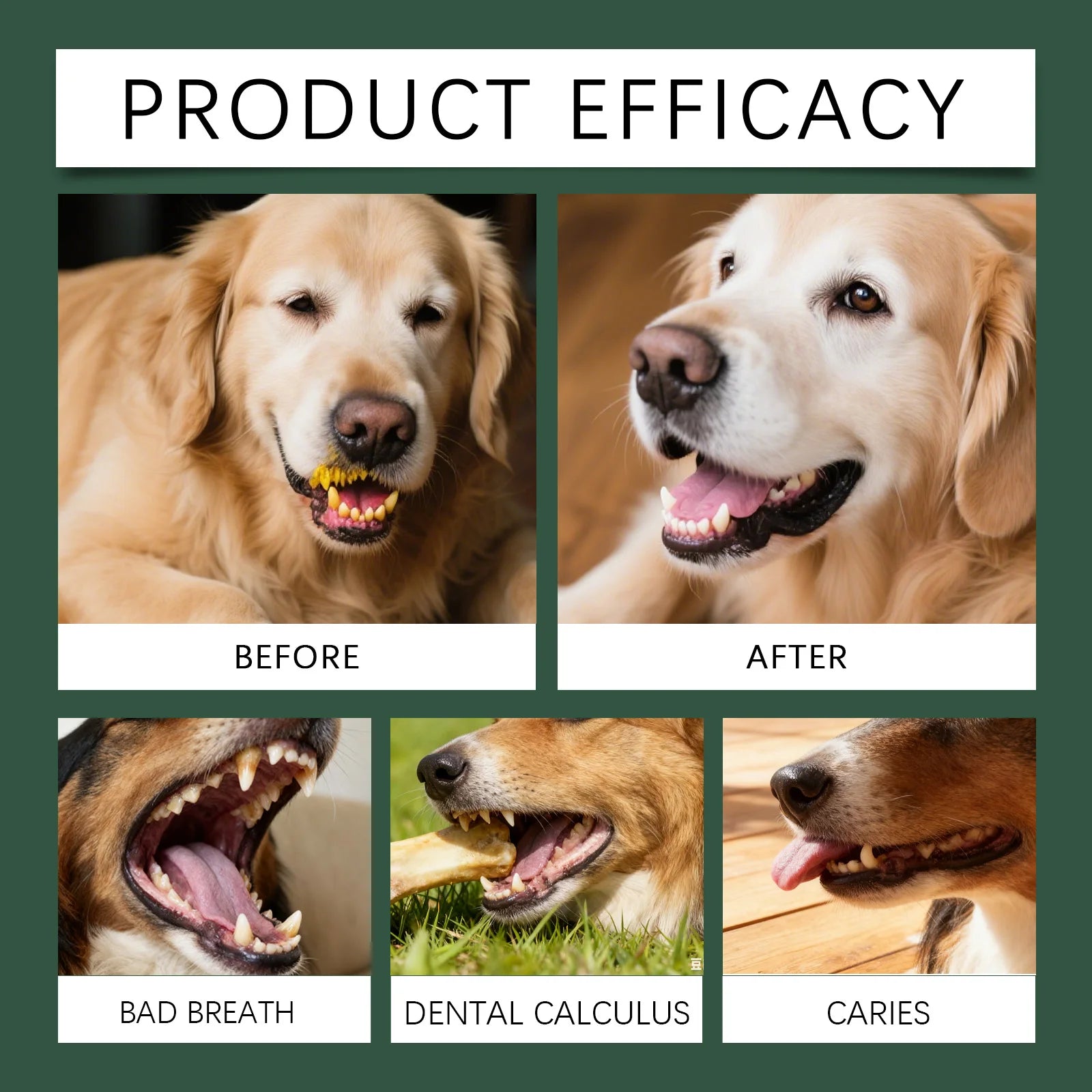 Enzyme Dental Powder — 100 g