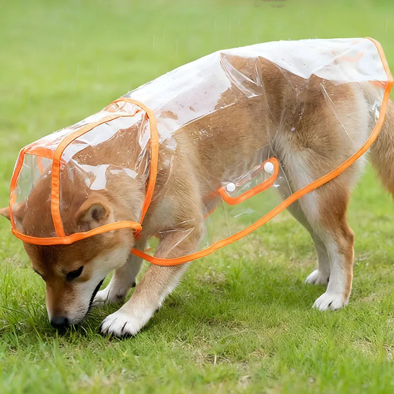Clear Dog Rain Poncho — S to XL