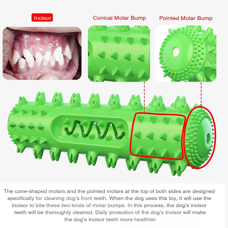 Squeaky Toothbrush Chew Stick