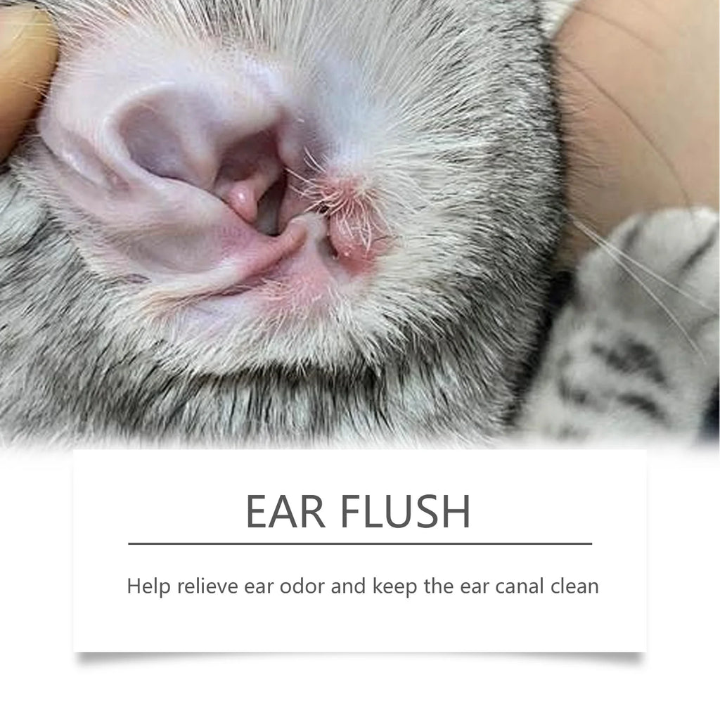 Ear Cleanser for Dogs & Cats — 100 ml