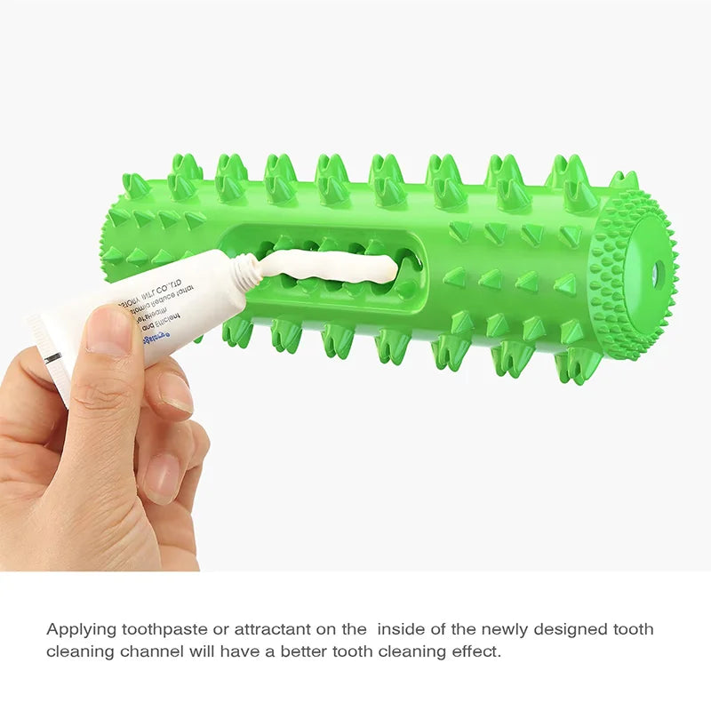 Squeaky Toothbrush Chew Stick