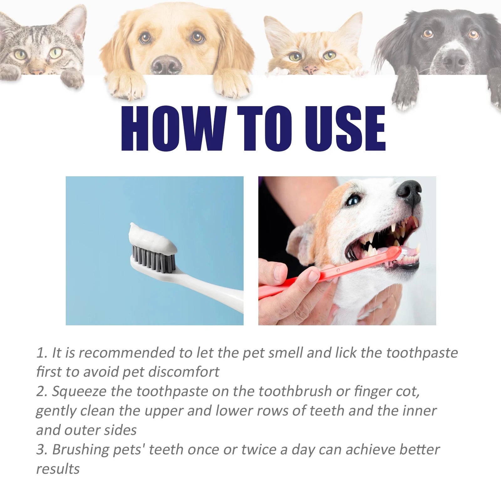 Daily Pet Toothpaste — 60 g