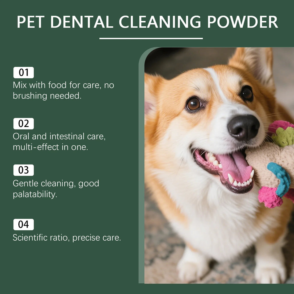 Enzyme Dental Powder — 100 g
