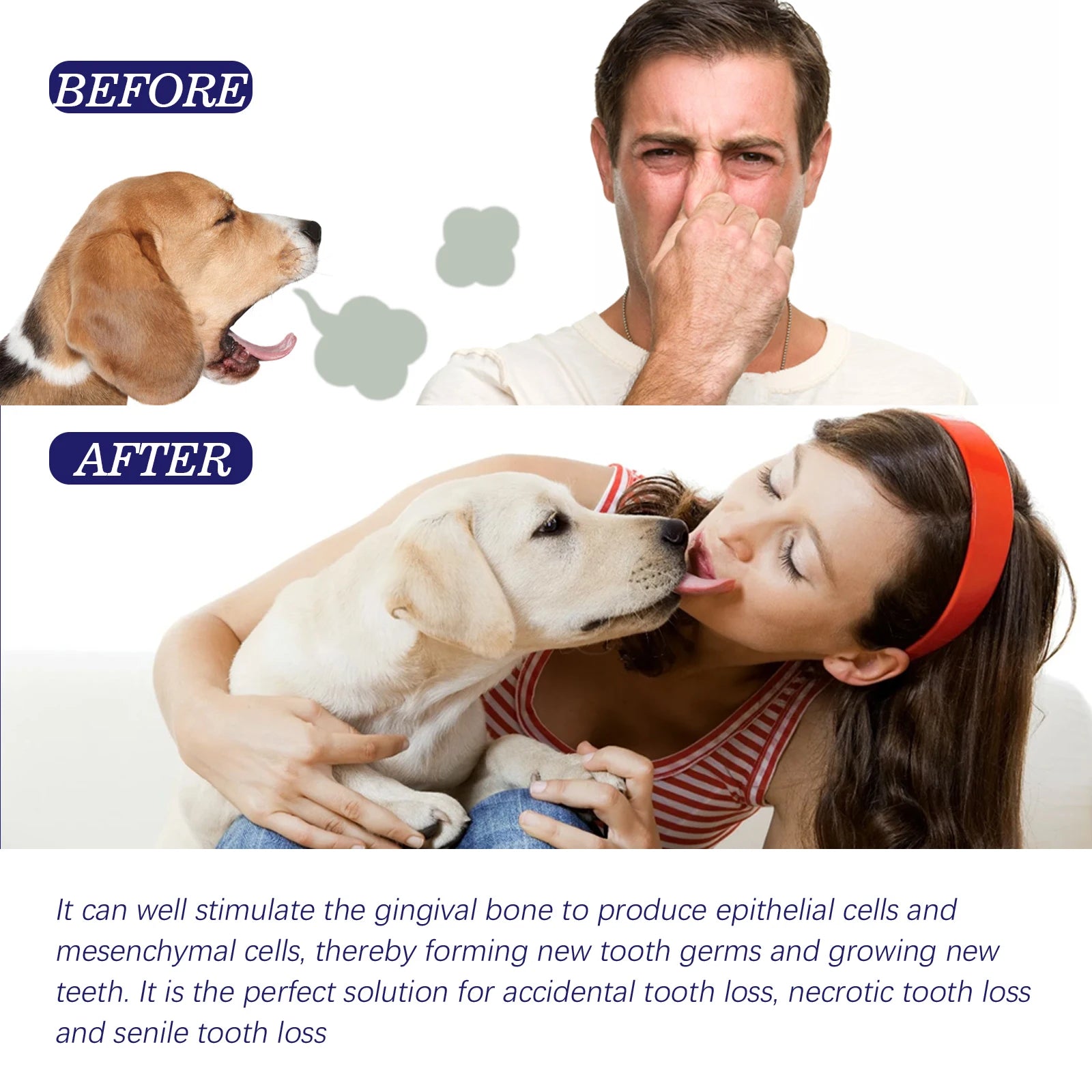 Daily Pet Toothpaste — 60 g