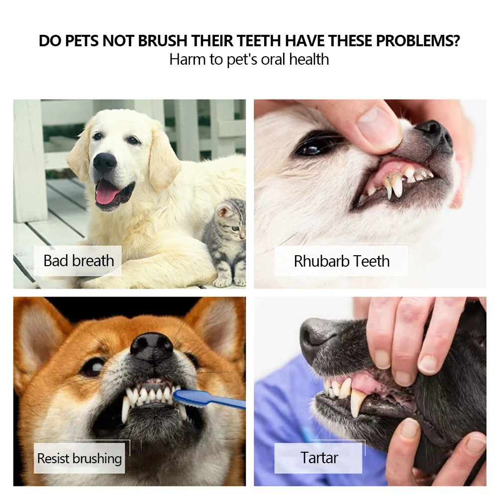 Triple-Head Pet Toothbrush