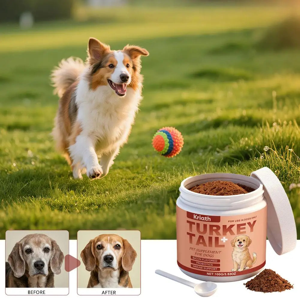 Daily Probiotic Powder for Dogs — 100 g