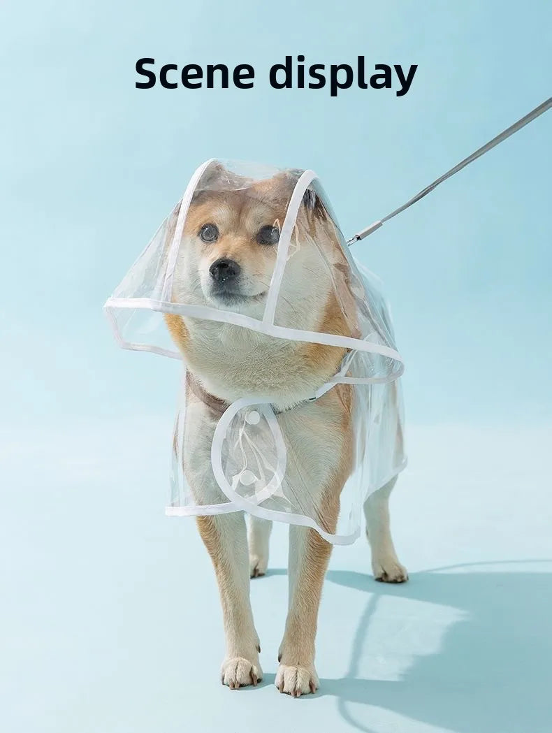 Clear Hooded Dog Raincoat