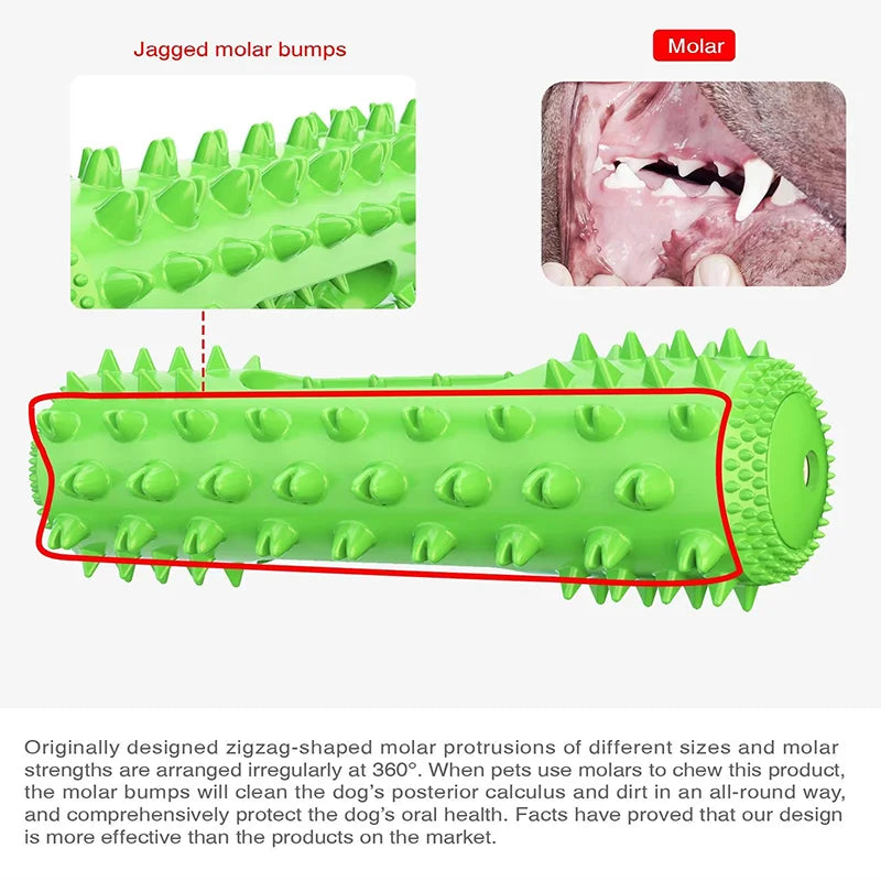 Squeaky Toothbrush Chew Stick