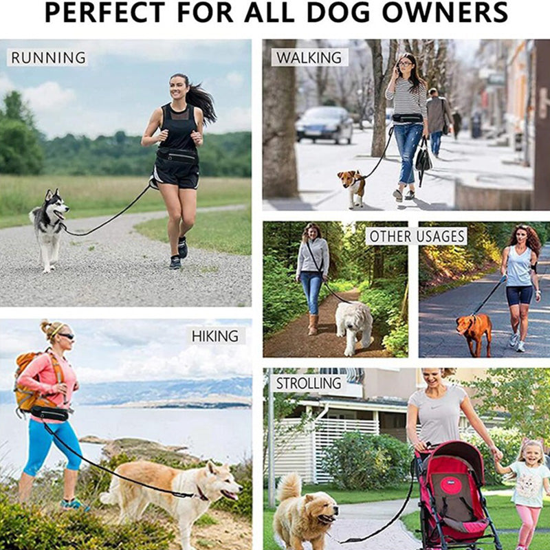 Hands-free dog leash for walking and running