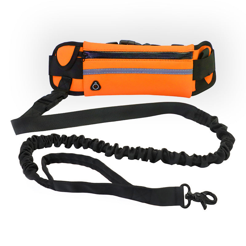 Hands-free dog leash with bottle holder