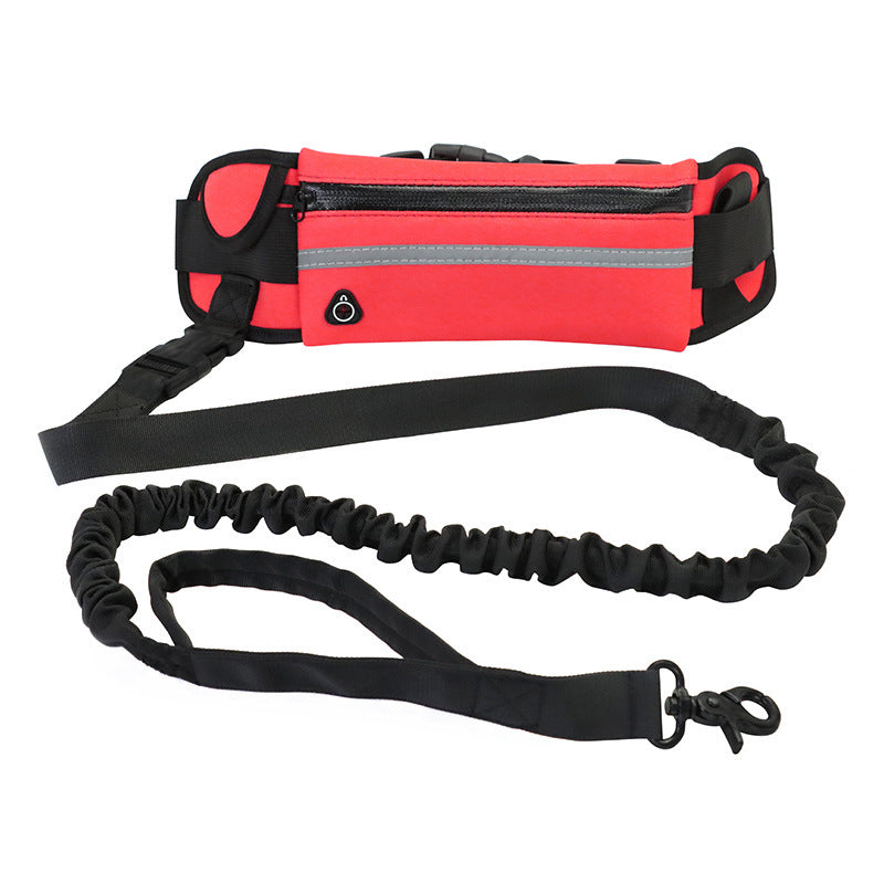 Hands-free dog walking and training belt